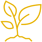plant icon