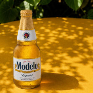 MODELO ESPECIAL